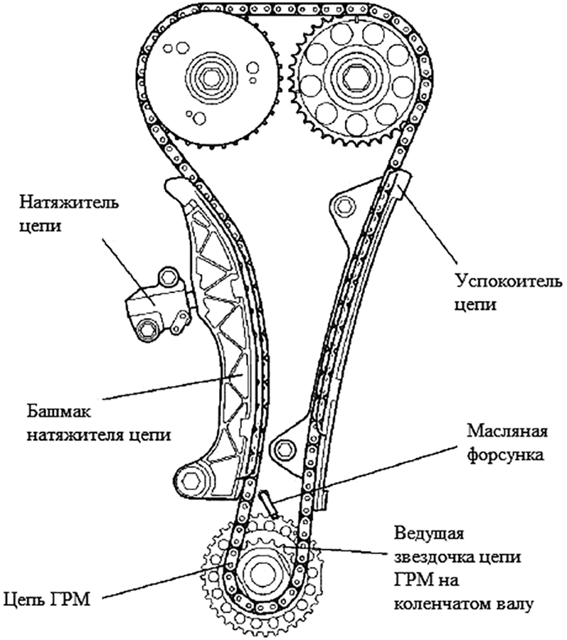 Схема цепного привода ГРМ и место башмака натяжителя в нем