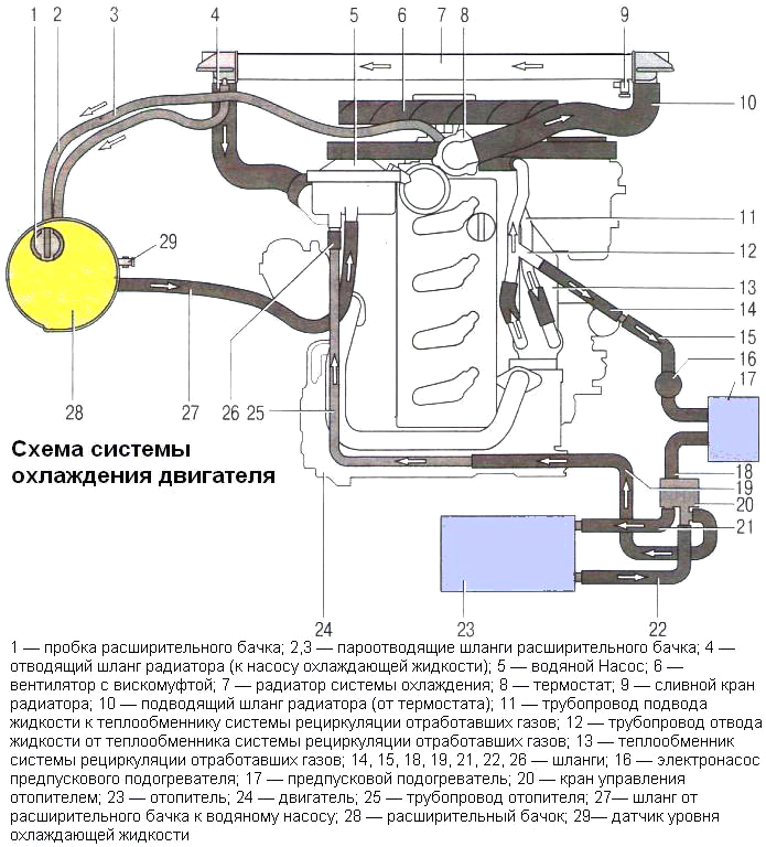 Схема системы охлаждения двигателей ГАЗель Next